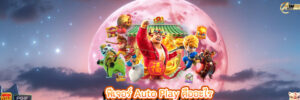 ฟีเจอร์ Auto Play คืออะไร